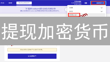 提现加密货币？别踩坑！新手必备指南 (内附安全秘籍)