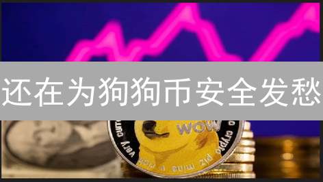 还在为狗狗币安全发愁？3招教你安心存币！