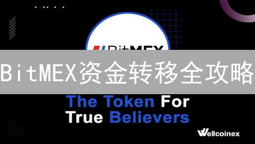 BitMEX资金转移全攻略：新手必看，速看避免踩坑！