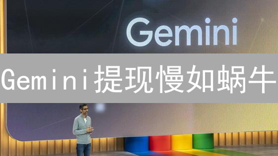 Gemini提现慢如蜗牛？别慌，终极指南来啦！