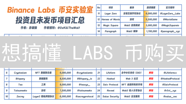 想搞懂 LABS 币购买？别慌！小白也能学会的快速指南！